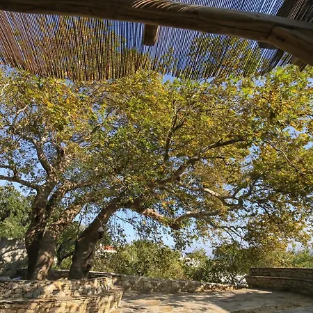 Villa Ικαριων Γη Manganítis Esterno foto
