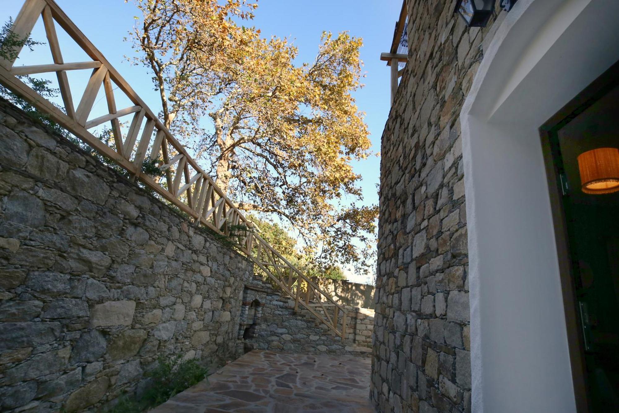 ικαριων γη