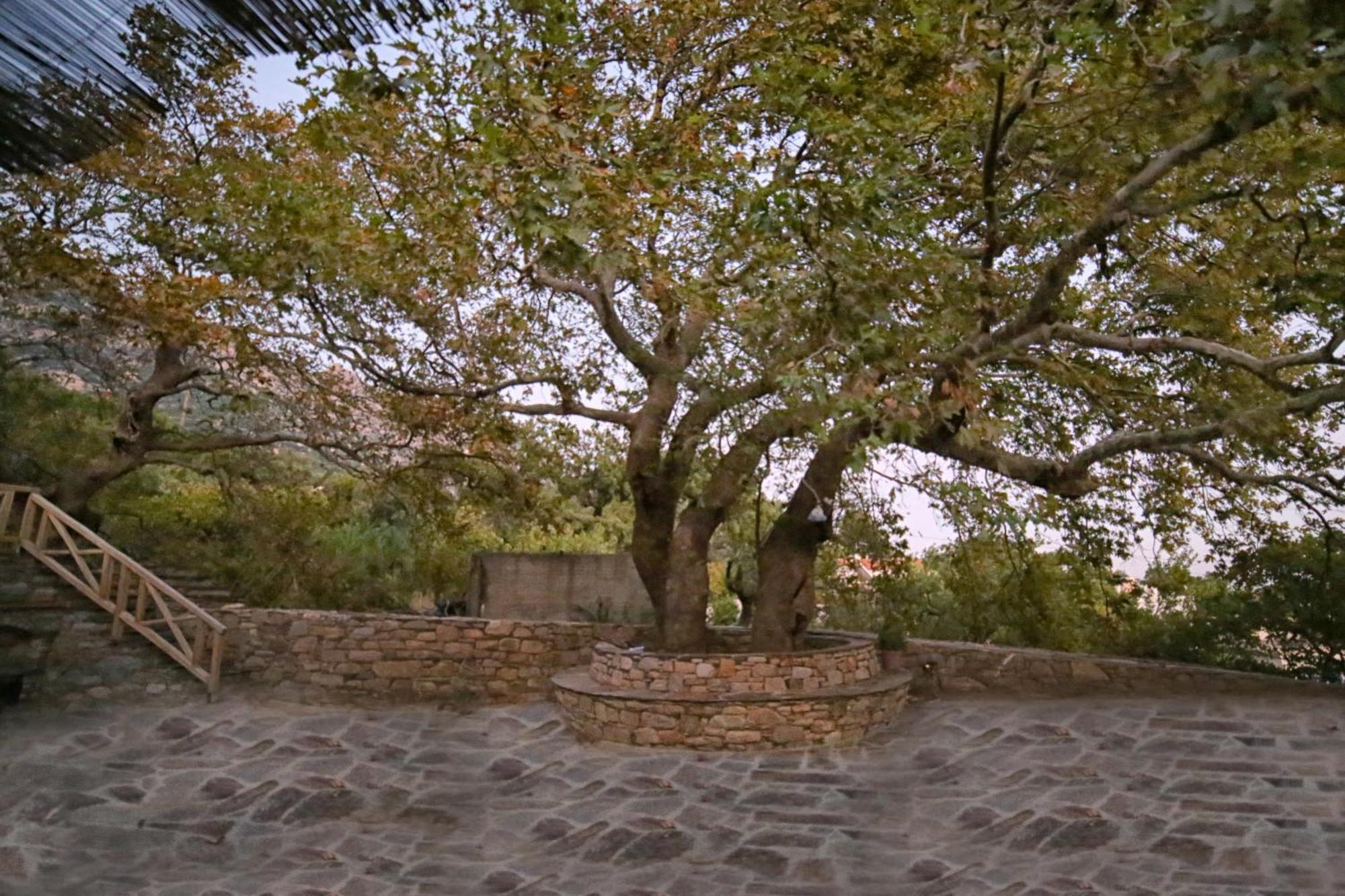 ικαριων γη Holiday home Manganitis
